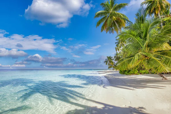 Meilleur Paysage Plage Tropicale Côte Été Fantastique Destination Vacances Palmiers — Photo
