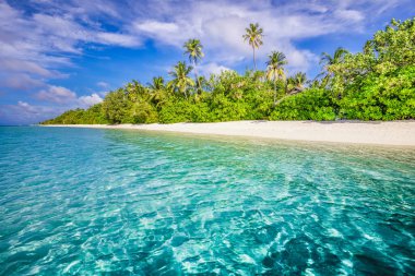 Maldivler adaları okyanus tropikal plajı. Egzotik deniz lagünü, beyaz kumların üzerinde palmiye ağaçları. İdealist doğa manzarası. Muhteşem sahil manzaralı sahil, parlak tropikal yaz güneşi ve açık bulutlu mavi gökyüzü.