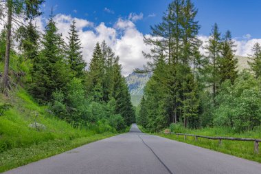 Yazın güneşli bir günde Tatra ormanında yol. Güzel dağ manzaralı yol, sisli yeşil yapraklı çam ağaçları ve bulutlu gökyüzü. Yazın ormanda boş asfalt yolu olan bir manzara. Seyahat