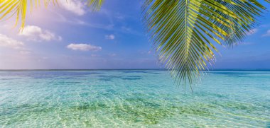 Tropik plajın üzerinde yeşil palmiye yaprakları. Panoramik cennet adası manzaralı deniz lagünü, doğal arka plan turkuaz su deniz manzarası. Güneşli manzara, yaz plajı manzarası egzotik