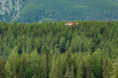 Helikopter yeşil ormanın üzerinde uçuyor.
