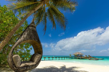 Tropik plaj arka planı, yaz adası manzarası. Palmiye ağacında sallanmak, kumsalda romantik deniz kıyısında sallanmak. Güzel çiftler sahne tatili ya da balayı, romantik tatil. Cennet doğası