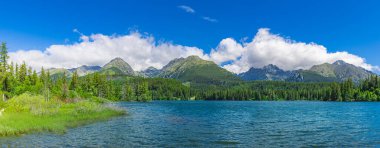 Park High Tatras 'ta göl manzaralı bir yer. Strbske Pleso, Slovakya. Harika bir yaz manzarası. Doğanın resimli görüntüsü. İnanılmaz doğal arka plan, yeşil orman, mavi güneşli gökyüzü bulutları