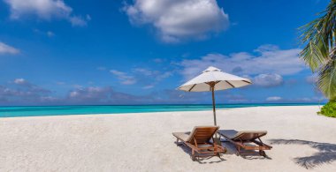 Güzel sahil. Birkaç sandalye cennet adası sahilinde, deniz palmiyesinin yanında. Yaz tatili turizm afişi. İnanılmaz tropikal seyahat manzarası. Huzur verici plaj manzarası. Yakın deniz kumlu gökyüzü