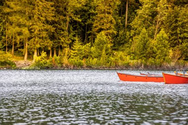National Park High Tatra 'daki huzurlu dağ gölü. Dramatik bulutlu gökyüzü. Strbske Pleso, Slovakya, Avrupa. Güzellik dünyası. Doğa manzarası, sakin renkli bir manzara. Özgürlük macerası doğa