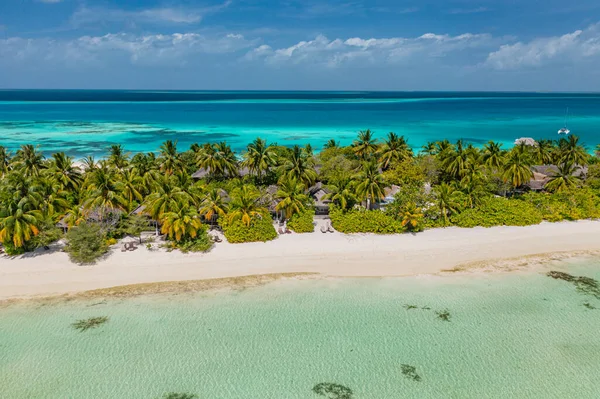 Luxusvillen Mit Kokospalmen Blaue Lagune Weißer Sandstrand Auf Den Malediven — Stockfoto