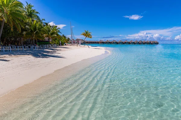 Beautiful Beach White Sand Turquoise Ocean Lagoon Green Palm Trees — Stock Photo, Image