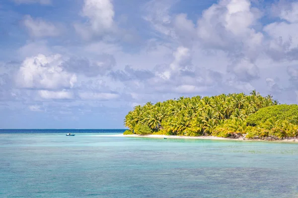 Маленький Остров Лагуне Индийского Океана Пальмовый Лес Облачно Голубое Небо — стоковое фото