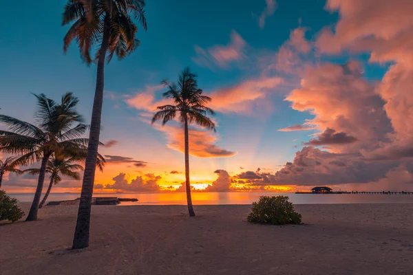 Gyönyörű Naplemente Palm Beach Tájban Trópusi Part Elképesztően Színes Felhős — Stock Fotó