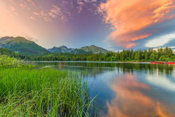 Perfekte Sommerlandschaft Idyllischer Reisehintergrund Schönheit Der Natur Tatra Berge Wald — Stockfoto