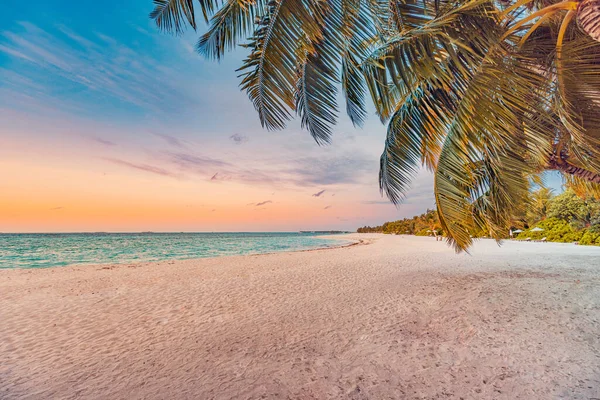 Gyönyörű Panoráma Naplemente Trópusi Paradicsom Strand Nyugodt Nyári Vakáció Vagy — Stock Fotó