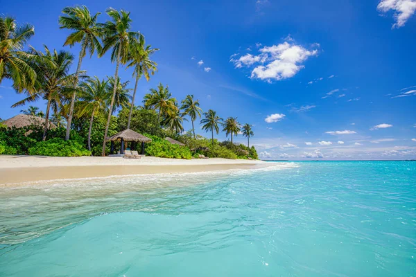 Тло Літніх Подорожей Екзотичний Тропічний Пляжний Острів Райське Узбережжя Пальмові — стокове фото