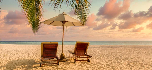 Прекрасний Тропічний Пляжний Банер Білий Пісок Кокосова Пальма Подорожують Туризмом — стокове фото