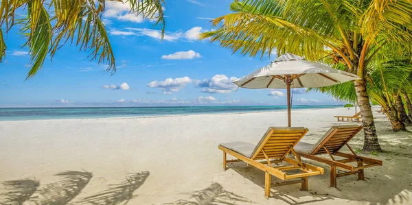 Tropische Strand Natuur Als Zomer Landschap Met Ligstoelen Bedden Palmbomen — Stockfoto