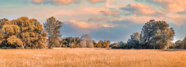 stock image Colorful autumn sunrise on meadow. Panoramic nature landscape, soft pastel colors, dream nature, sunset autumnal background. Forest field, closeup golden grass meadow. Peaceful amazing nature panorama