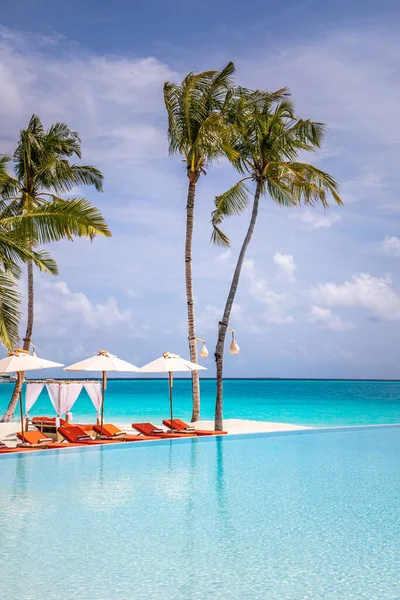 Beautiful Vertical Beach Pool Panorama Palm Trees Beach Chairs Beds — Stock Photo, Image