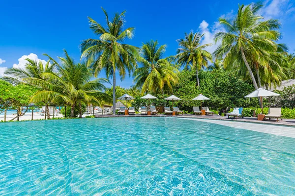 Açık Hava Turizmi Yüzme Havuzu Plaj Sandalyeleri Palmiye Ağaçları Mavi — Stok fotoğraf