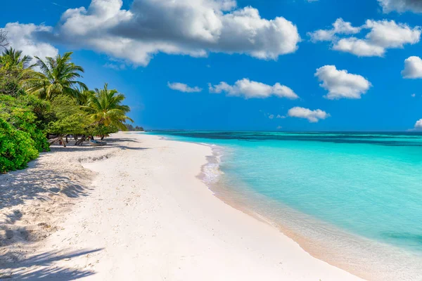 Letní Zázemí Exotický Tropický Plážový Ostrov Rajské Pobřeží Bílý Písek — Stock fotografie