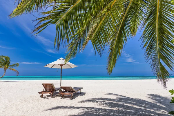 美丽的热带风景 情侣们在棕榈叶下坐着遮阳伞 夏日背景 异国情调的海滩 阳光灿烂的天国天堂海岸 迷人的风景 大海沙天悠闲度假 — 图库照片