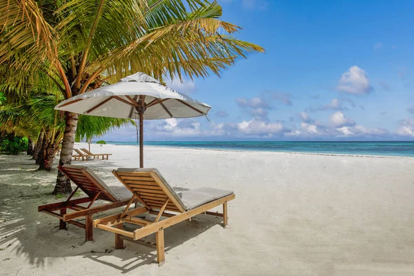 热带海滩作为夏季景观 以躺椅 棕榈叶和平静的大海为海滩横幅 奢华的旅游风景 美丽的度假或度假目的地 海滩场景 — 图库照片