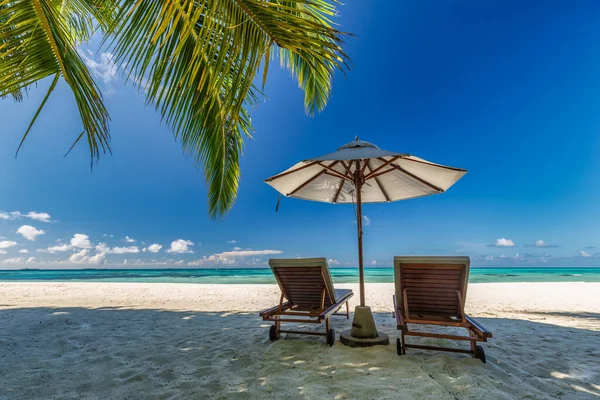 美しい熱帯の日当たりの良い海岸 ヤシの木の葉の下に2つのサンベッドの椅子の傘 海砂水平線の空 ロマンチックなリラックスしたライフスタイルは島のビーチの背景を刺激する 夏の旅行エキゾチックな休暇 — ストック写真