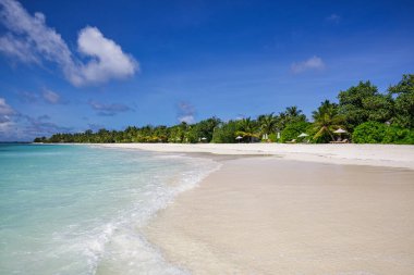 Mavi gökyüzünün arka planında beyaz kum, mavi su ve palmiye ağaçları bulunan tropik plajlar. Hint okyanusu ve turkuaz göl