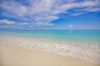 güneşli tropikal plaj