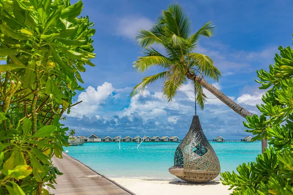 stock image tropical paradise beach in maldives, summer vacation. Swing chair on palm tree