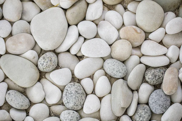 Hintergrund Von Kieselsteinen Auf Einem Strand — Stockfoto