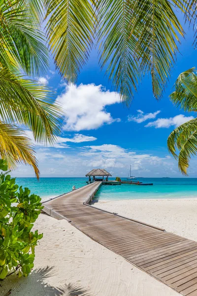 Wooden Pier Tropical Beach Maldives — Stock Photo, Image