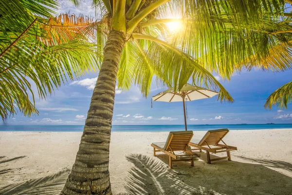 Tropische Palmbomen Een Tropisch Strand — Stockfoto