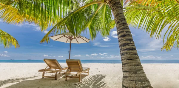 Plaj Sandalyeleri Deniz Kenarında Güneş Şemsiyesi — Stok fotoğraf