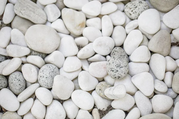 Hintergrund Weißer Kieselsteine Textur Der Steine — Stockfoto