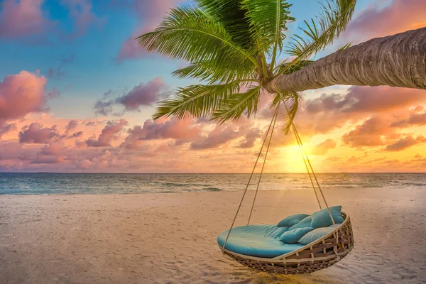 Tropical Paradise Beach Maldives Summer Vacation Swing Chair Palm Tree — Stock Photo, Image