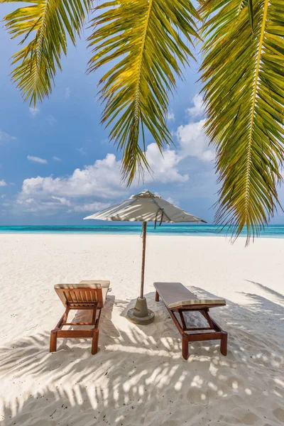 海边的沙滩椅和遮阳伞 — 图库照片
