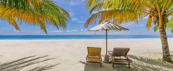 Plaj Sandalyeleri Palmiye Ağaçları — Stok fotoğraf
