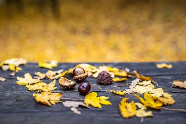 Tablo sonbahar kestane