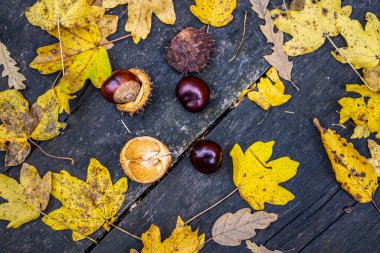 Tablo sonbahar kestane