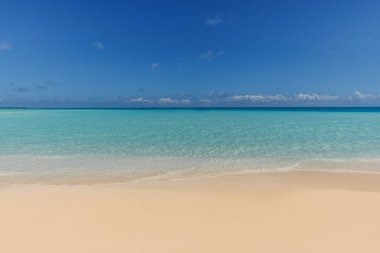 güzel bir plaj tropikal adada 