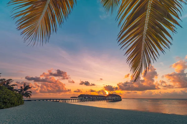 Beautiful Sunrise Ocean Palm Trees Beach — Stock Photo, Image