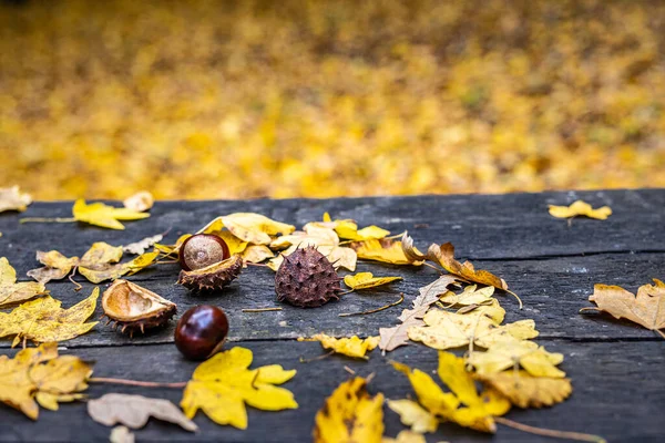 Stock image autumn leaves  and chestnuts on wooden background