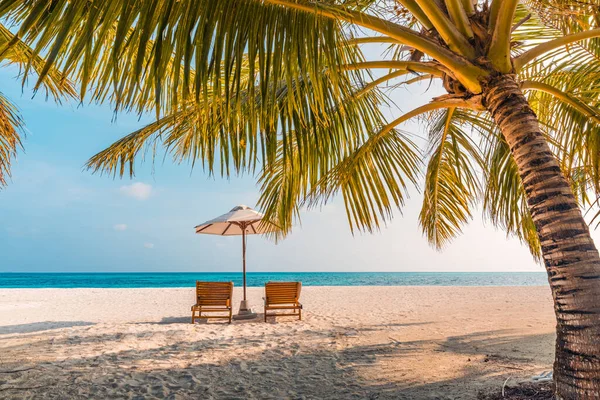 Empty Chairs Umbrella Tropical Maldives Beach — Stock Photo, Image