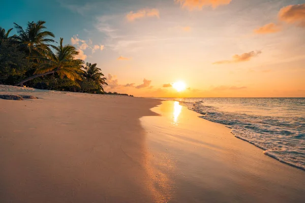 Krásný Tropický Západ Slunce Maledivách — Stock fotografie