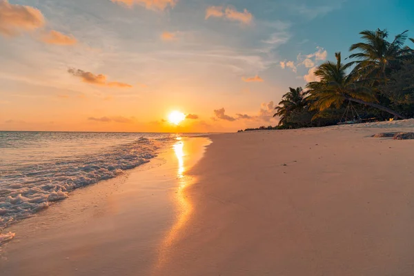 Gyönyörű Trópusi Strand Pálmafákkal Homokkal — Stock Fotó