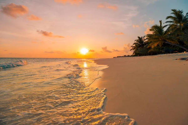 Pôr Sol Praia Caribenha — Fotografia de Stock