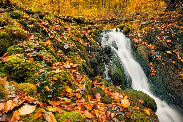 stock image autumn waterfall in the forest