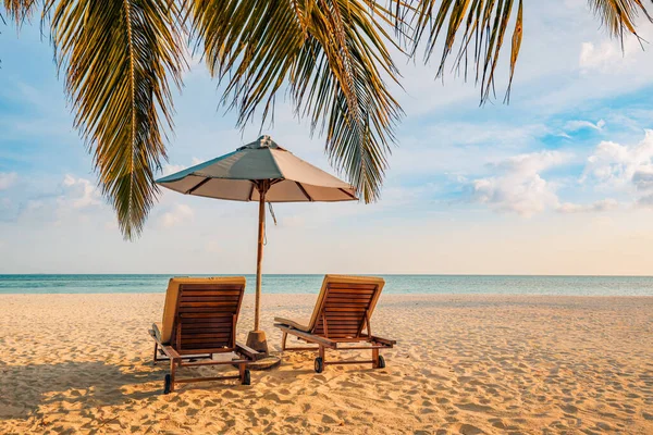 Schöner Tropischer Strand Und Meer Mit Palmen — Stockfoto