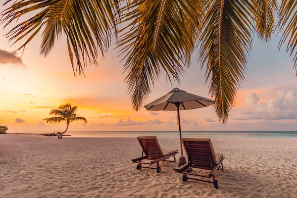 Красивый Закат Мальдивах Пляж Пальмами — стоковое фото