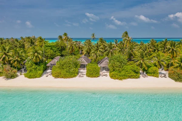 Tropischer Strand Mit Palmen — Stockfoto