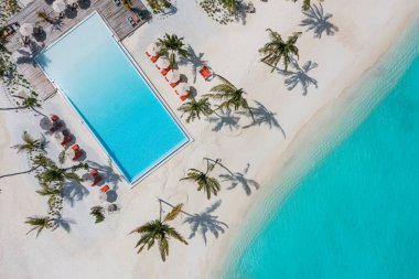 Sahil kenarı turizm manzarası. Lüks plaj tatil köyü havuzu, yüzme havuzu ve plaj sandalyeleri veya şezlonglar, tropik palmiye ağaçları ve mavi gökyüzü olan şemsiyeler. Yaz seyahati ve tatil geçmişi kavramı
